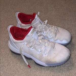 Nike Lebron 16 Low Basketball Shoe